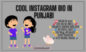 250+ Best Instagram Bio In Punjabi For Boys & Girls 2024 | Copy & Paste