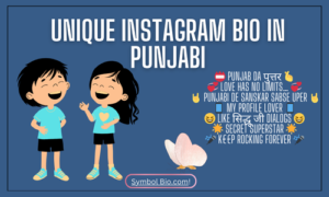 250+ Best Instagram Bio In Punjabi For Boys & Girls 2024 | Copy & Paste