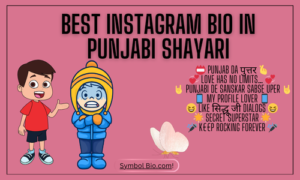 250+ Best Instagram Bio In Punjabi For Boys & Girls 2024 | Copy & Paste