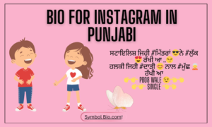 250+ Best Instagram Bio In Punjabi For Boys & Girls 2024 | Copy & Paste