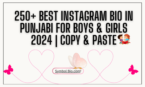 250+ Best Instagram Bio In Punjabi For Boys & Girls 2024 | Copy & Paste