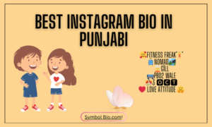 250+ Best Instagram Bio In Punjabi For Boys & Girls 2024 | Copy & Paste