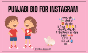 250+ Best Instagram Bio In Punjabi For Boys & Girls 2024 | Copy & Paste