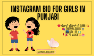 250+ Best Instagram Bio In Punjabi For Boys & Girls 2024 | Copy & Paste