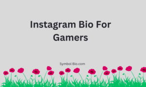 400+ Best Instagram Bio For Gamers Stylish and Attitude [2024]