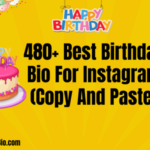 480+ Best Birthday Bio For Instagram (Copy And Paste)