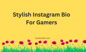 400+ Best Instagram Bio For Gamers Stylish and Attitude [2024]