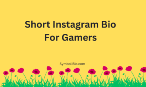 400+ Best Instagram Bio For Gamers Stylish and Attitude [2024]