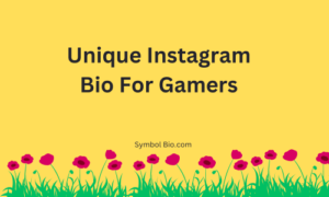 400+ Best Instagram Bio For Gamers Stylish and Attitude [2024]