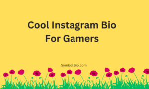 400+ Best Instagram Bio For Gamers Stylish and Attitude [2024]