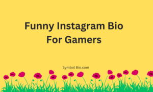 400+ Best Instagram Bio For Gamers Stylish and Attitude [2024]