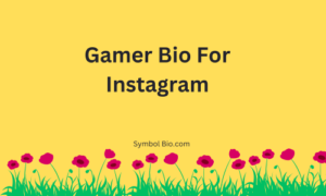 400+ Best Instagram Bio For Gamers Stylish and Attitude [2024]