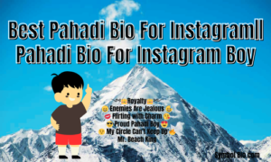 160+ Best pahadi Bio For Instagram For Boys and Girls