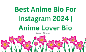 400+ Best Anime Bio For Instagram | Anime Lover Bio