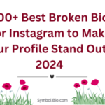 300+ Best Broken Bio For Instagram to Make Your Profile Stand Out – 2024