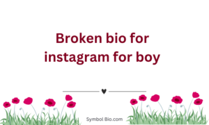 300+ Best Broken Bio For Instagram to Make Your Profile Stand Out – 2024