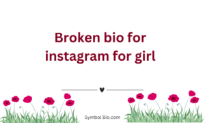 300+ Best Broken Bio For Instagram to Make Your Profile Stand Out – 2024