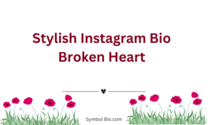 300+ Best Broken Bio For Instagram to Make Your Profile Stand Out – 2024