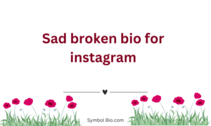 300+ Best Broken Bio For Instagram to Make Your Profile Stand Out – 2024