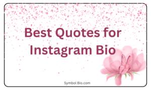 140+ Best Quotes For Instagram Bio to Elevate Your Profile