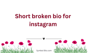 300+ Best Broken Bio For Instagram to Make Your Profile Stand Out – 2024