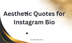 140+ Best Quotes For Instagram Bio to Elevate Your Profile