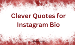 140+ Best Quotes For Instagram Bio to Elevate Your Profile