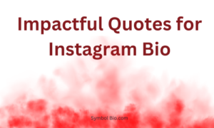 140+ Best Quotes For Instagram Bio to Elevate Your Profile