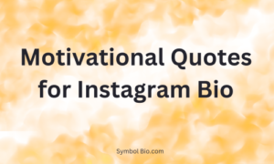 140+ Best Quotes For Instagram Bio to Elevate Your Profile