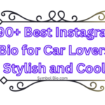 190+ Best Instagram Bio for Car Lovers Stylish and Cool