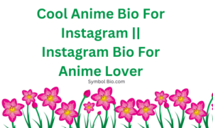 400+ Best Anime Bio For Instagram | Anime Lover Bio