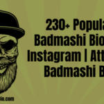 230+ Popular Badmashi Bio For Instagram | Attitude Badmashi Bio