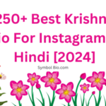 250+ Best Krishna Bio For Instagram in Hindi [2024]