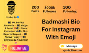 230+ Popular Badmashi Bio For Instagram | Attitude Badmashi Bio