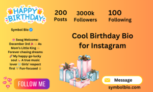 480+ Best Birthday Bio For Instagram (Copy And Paste)