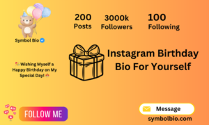 480+ Best Birthday Bio For Instagram (Copy And Paste)