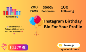 480+ Best Birthday Bio For Instagram (Copy And Paste)