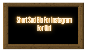 600+ Sad Bio For Instagram | Powerful Sad Instagram Bio Ideas & Caption 2024