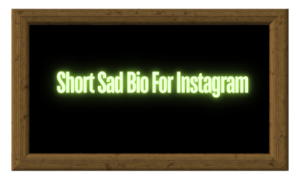 600+ Sad Bio For Instagram | Powerful Sad Instagram Bio Ideas & Caption 2024