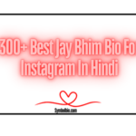 300+ Best Jay Bhim Bio For Instagram In Hindi