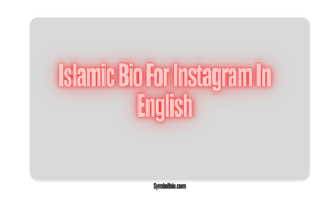 350+ best Islamic Bio For Instagram | Muslim Instagram Bio