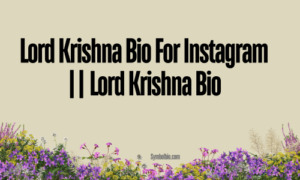 209+ Best Krishna Bio For Instagram || Dwarkadhish Bio 2024