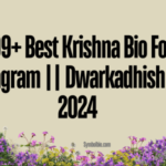 209+ Best Krishna Bio For Instagram || Dwarkadhish Bio 2024