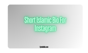 350+ best Islamic Bio For Instagram | Muslim Instagram Bio