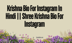 Krishna Bio For Instagram In Hindi || Shree Krishna Bio For Instagram