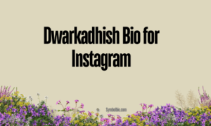 Dwarkadhish Bio for Instagram