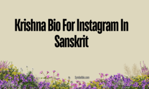 Krishna Bio For Instagram In Sanskrit