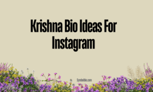 Krishna Bio Ideas For Instagram