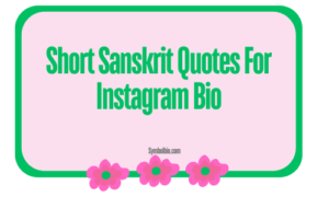 289+Most Popular Sanskrit Shlok For Instagram Bio [2024]