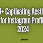 150+ Captivating Aesthetic Bio for Instagram Profiles in 2024